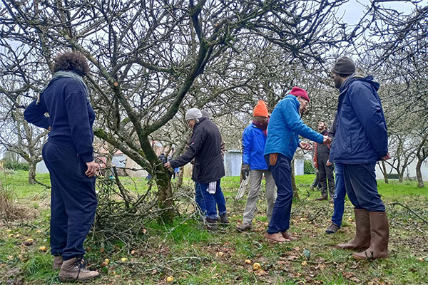 signal 2024 02 19 141946 005